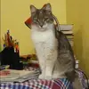 Отзыв от Зинаида Лаптева